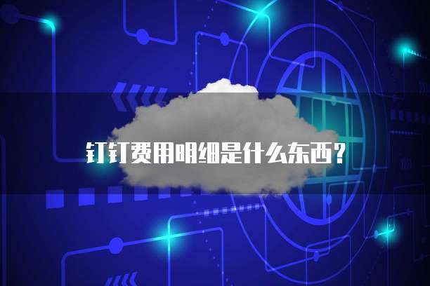 钉钉费用明细是什么东西?
