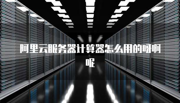 阿里云服务器计算器怎么用的呀啊呢