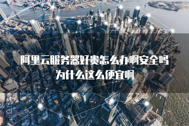 阿里云服务器好贵怎么办啊安全吗为什么这么便宜啊