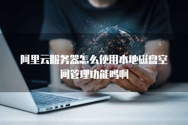 阿里云服务器怎么使用本地磁盘空间管理功能吗啊