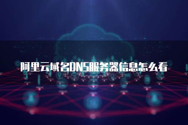 阿里云域名DNS服务器信息怎么看