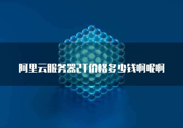 阿里云服务器2T价格多少钱啊呢啊
