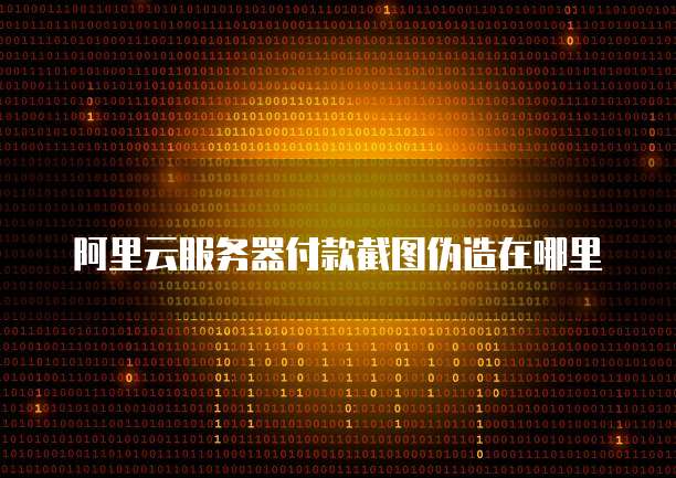 阿里云服务器付款截图伪造在哪里