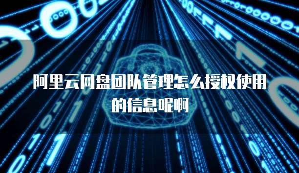 阿里云网盘团队管理怎么授权使用的信息呢啊