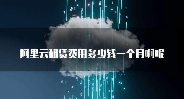 阿里云租赁费用多少钱一个月啊呢