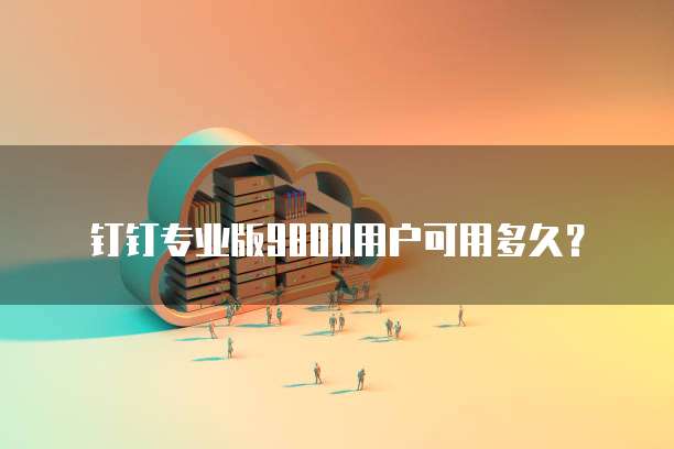 钉钉专业版9800用户可用多久？
