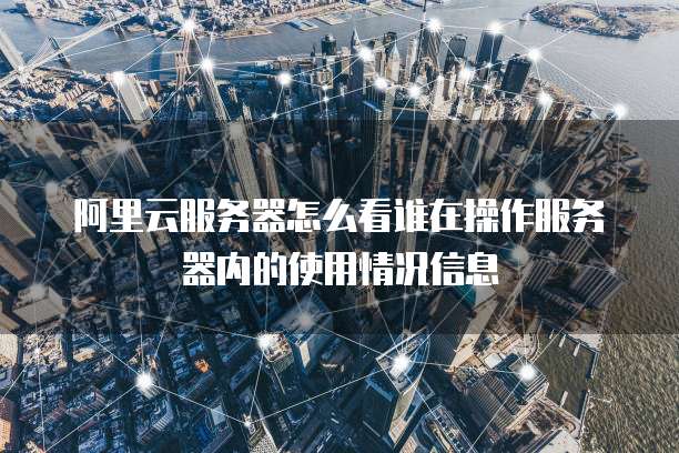 阿里云服务器怎么看谁在操作服务器内的使用情况信息