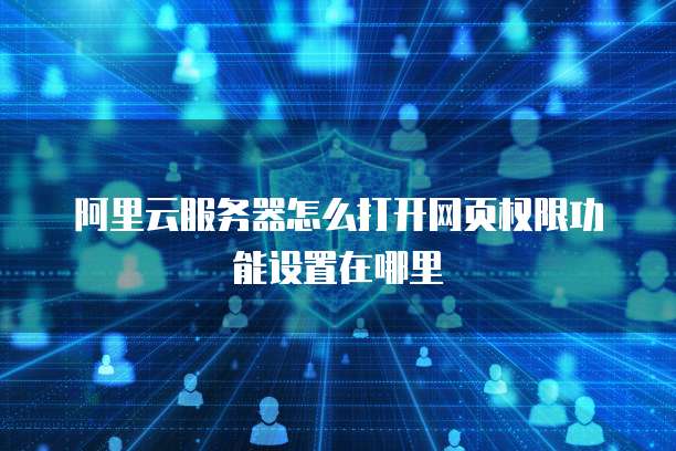阿里云服务器怎么打开网页权限功能设置在哪里