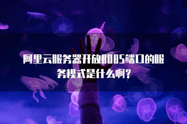 阿里云服务器开放8085端口的服务模式是什么啊?