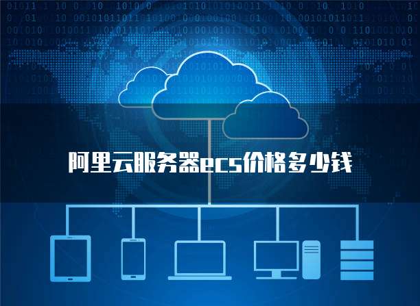 阿里云服务器ecs价格多少钱