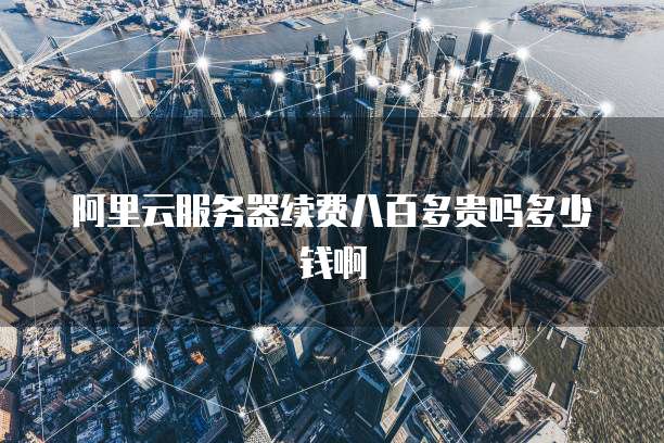 阿里云服务器续费八百多贵吗多少钱啊