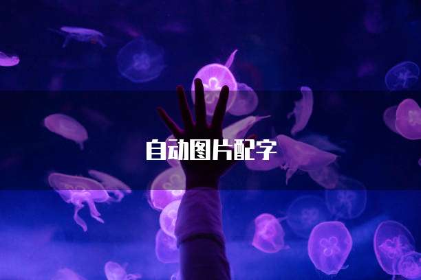 阿里云邮箱个人邮箱登陆账号密码是多少位