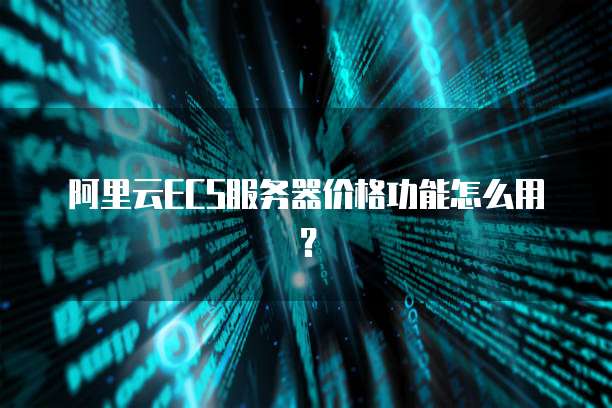阿里云ECS服务器价格功能怎么用?