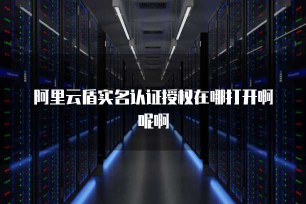 阿里云盾实名认证授权在哪打开啊呢啊