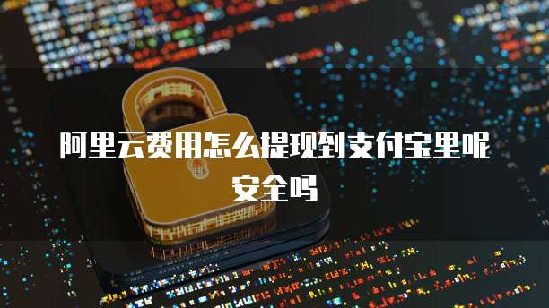 阿里云费用怎么提现到支付宝里呢安全吗