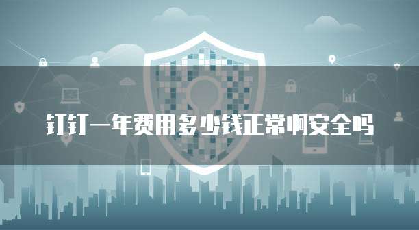 钉钉一年费用多少钱正常啊安全吗