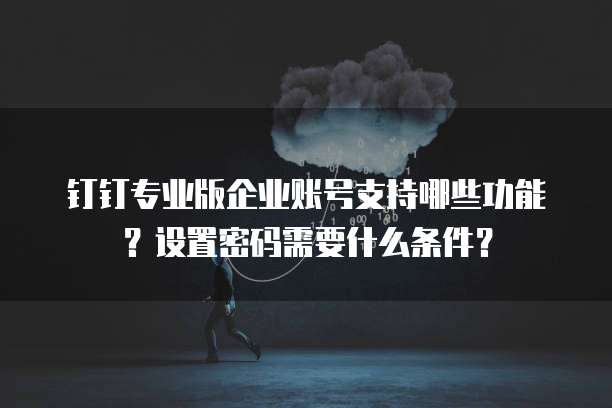 钉钉专业版企业账号支持哪些功能?设置密码需要什么条件?