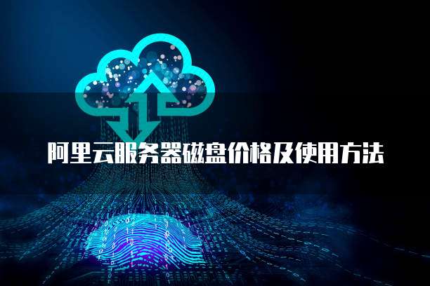 阿里云服务器磁盘价格及使用方法