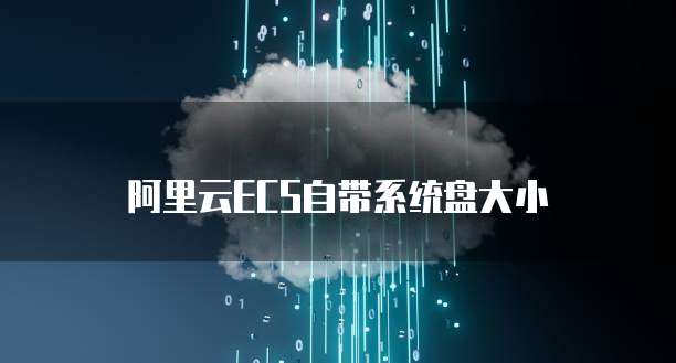 钉钉标准版和专业版在哪儿设置的呢区别