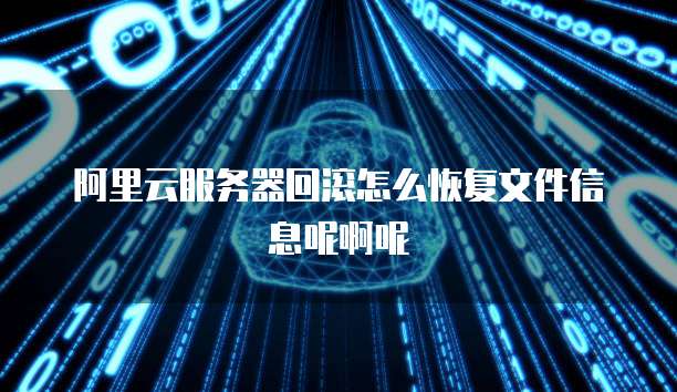 阿里云服务器回滚怎么恢复文件信息呢啊呢