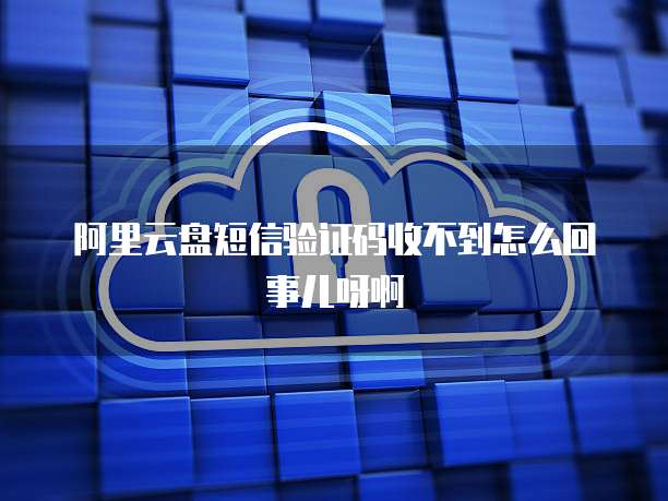 阿里云盘短信验证码收不到怎么回事儿呀啊