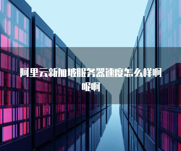 阿里云新加坡服务器速度怎么样啊呢啊