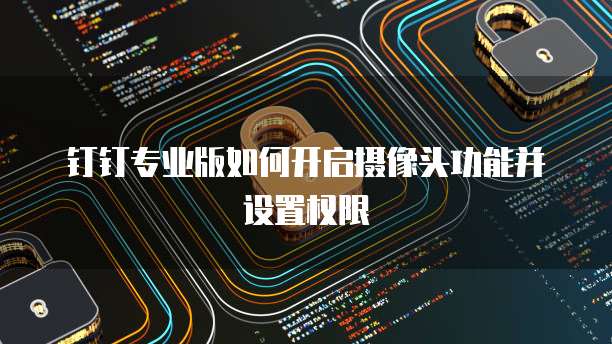钉钉专业版如何开启摄像头功能并设置权限