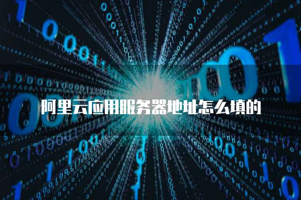 阿里云应用服务器地址怎么填的