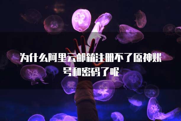 为什么阿里云邮箱注册不了原神账号和密码了呢