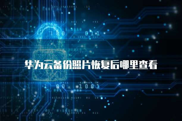 阿里云服务器用户名:如何查看?