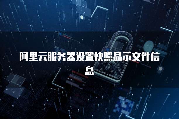 阿里云服务器设置快照显示文件信息