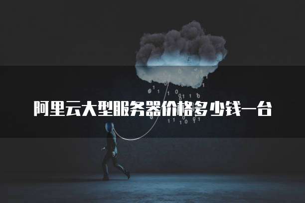 阿里云大型服务器价格多少钱一台