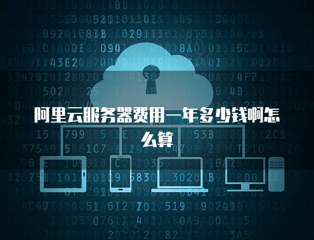 阿里云服务器费用一年多少钱啊怎么算