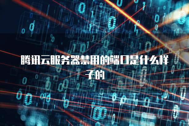 腾讯云服务器禁用的端口是什么样子的