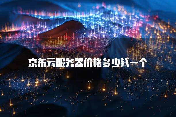 京东云服务器价格多少钱一个