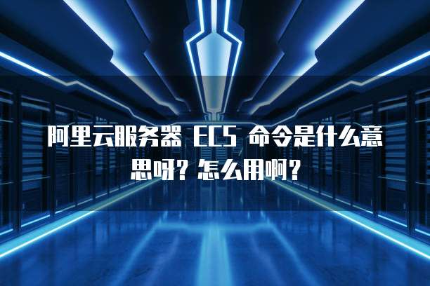阿里云服务器 ECS 命令是什么意思呀?怎么用啊?