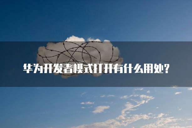 阿里云服务器申请后怎么使用不了