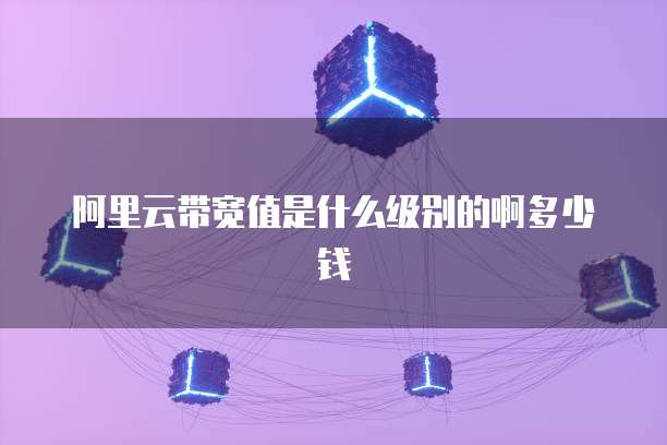阿里云带宽值是什么级别的啊多少钱