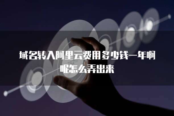 域名转入阿里云费用多少钱一年啊呢怎么弄出来