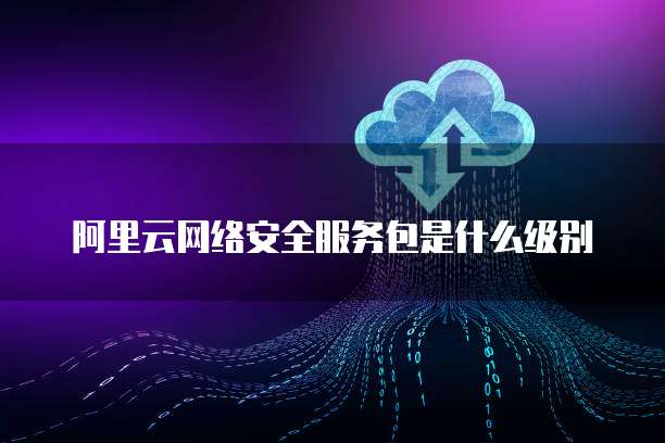 阿里云网络安全服务包是什么级别