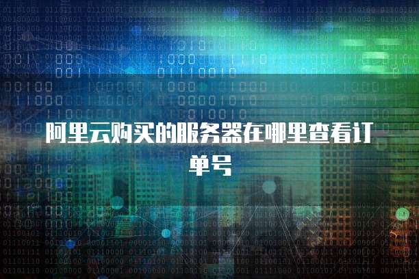 阿里云购买的服务器在哪里查看订单号