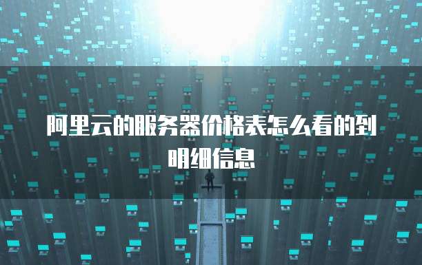 阿里云的服务器价格表怎么看的到明细信息