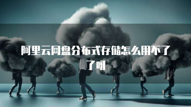 阿里云网盘分布式存储怎么用不了了呀
