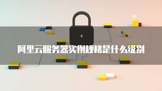 阿里云服务器实例规格是什么级别