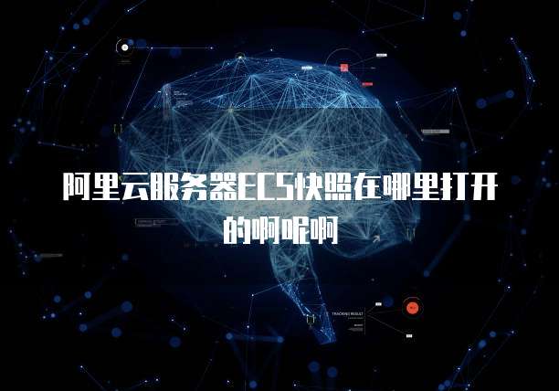 阿里云服务器ECS快照在哪里打开的啊呢啊