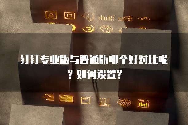 钉钉专业版与普通版哪个好对比呢？如何设置？