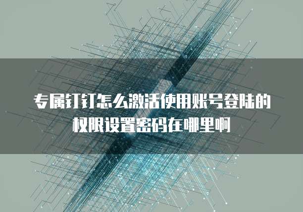 专属钉钉怎么激活使用账号登陆的权限设置密码在哪里啊