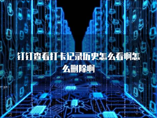 阿里云邮箱是否具备授权码和密码功能？