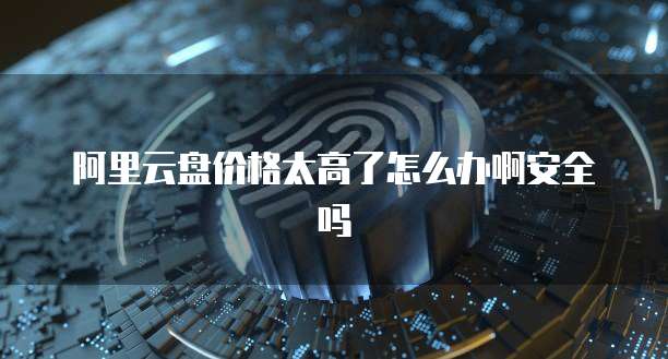 阿里云盘价格太高了怎么办啊安全吗