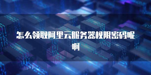 怎么领取阿里云服务器权限密码呢啊